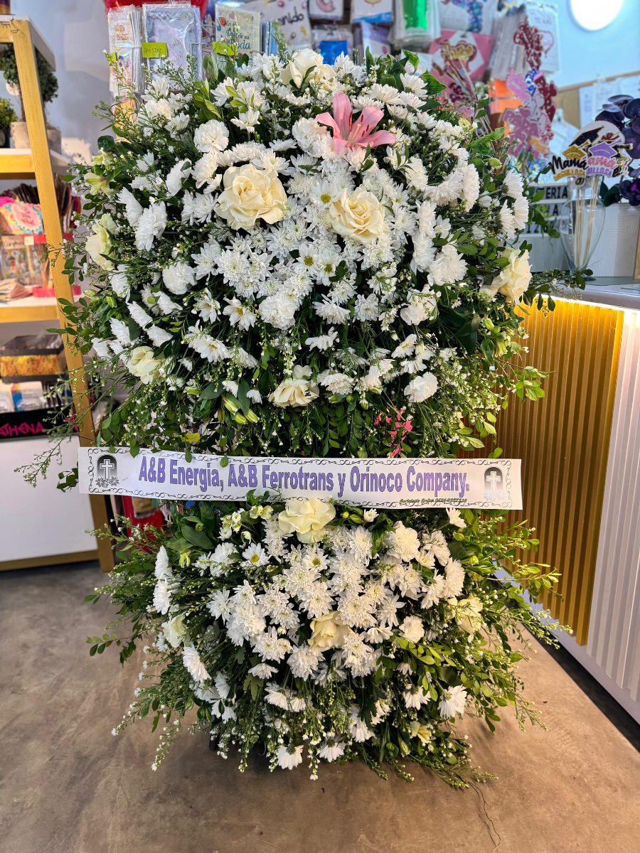 Corona VIP 2