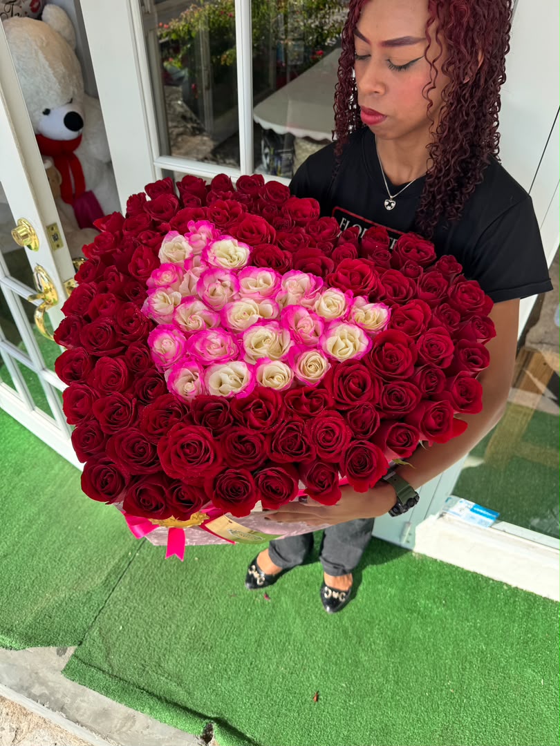 corazon XL